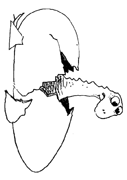 Dinozaury kolorowanki